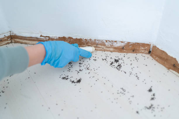 Pest Prevention Services in Brass Castle, NJ