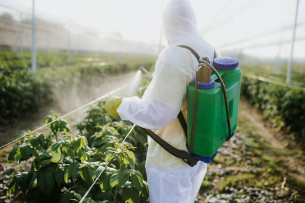 Best Affordable Pest Control Services  in Brass Castle, NJ